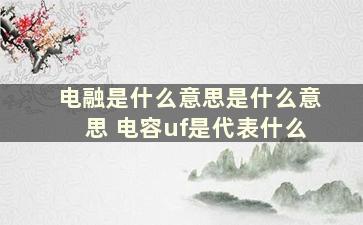 电融是什么意思是什么意思 电容uf是代表什么